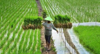 Ilusi Negara Agraris