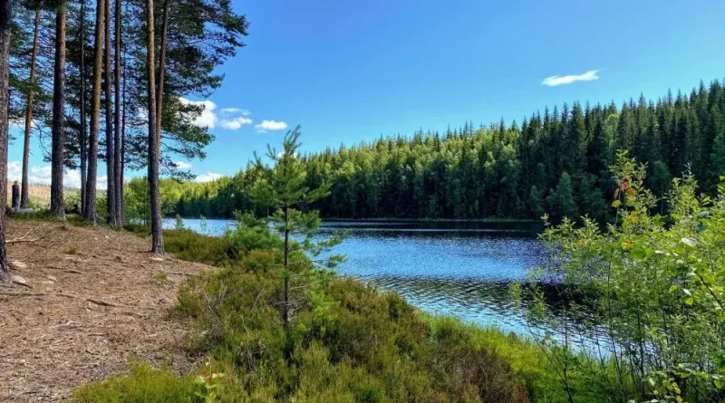 Keindahan Hutan dan Danau di Swedia