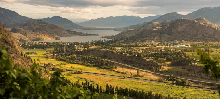 Menyusuri Jalur Anggur di Okanagan Valley: Destinasi Wine Terbaik di Kanada