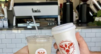 Red Cow Coffee: Where Quality Beans Meet Expert Roasting for Unmatched Taste