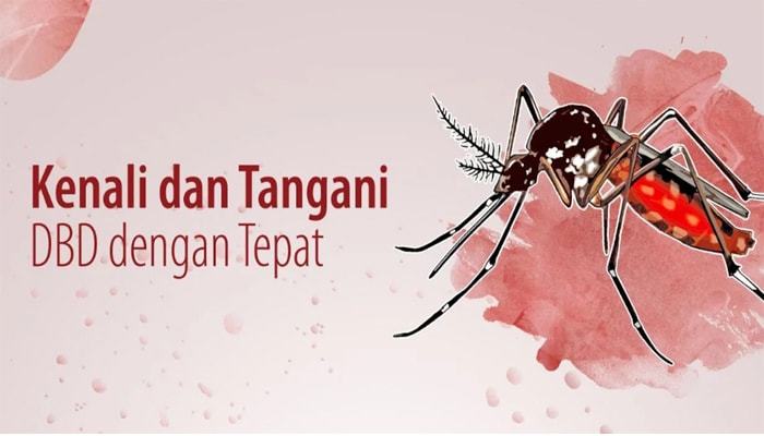https://suaramerdekasolo.com/