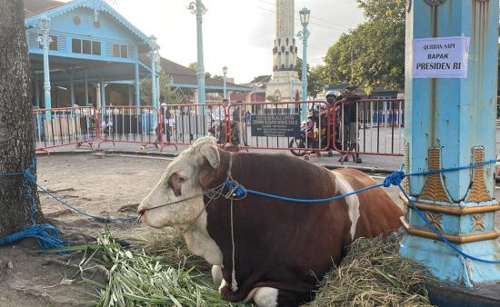 Prabowo dan Gibran Berkurban Sapi di Masjid Agung Solo, Salat Id Digelar Jumat