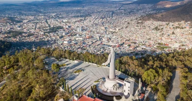 Essential Travel Tips for Navigating Mineral de la Reforma Safely